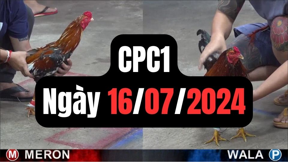 Tổng hợp đá gà CPC1 ngày 16/07/2024