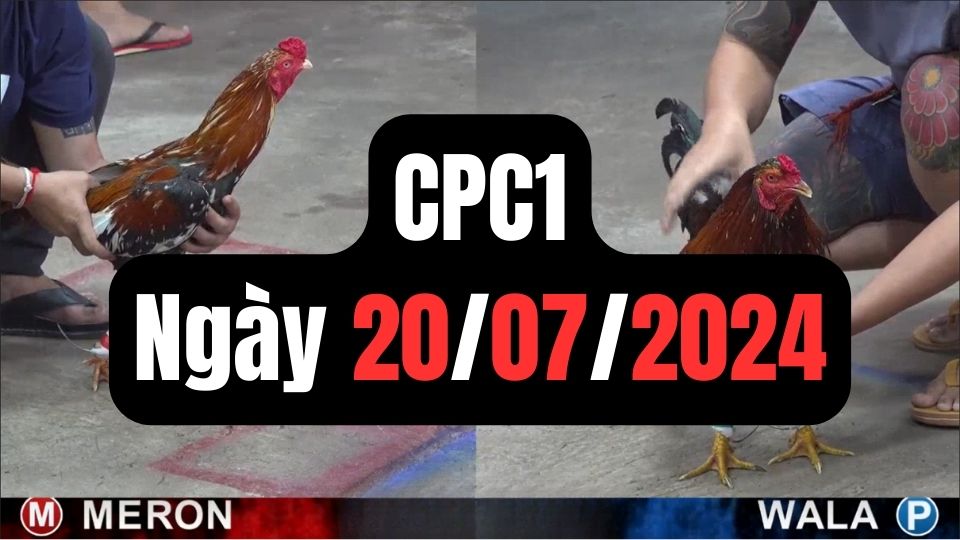 Tổng hợp đá gà CPC1 ngày 20/07/2024