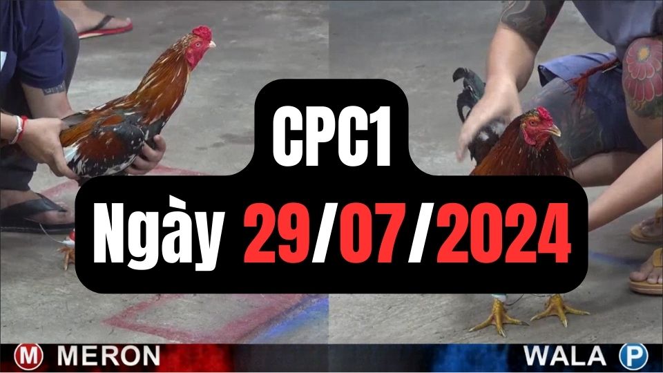 Tổng hợp đá gà CPC1 ngày 29/07/2024