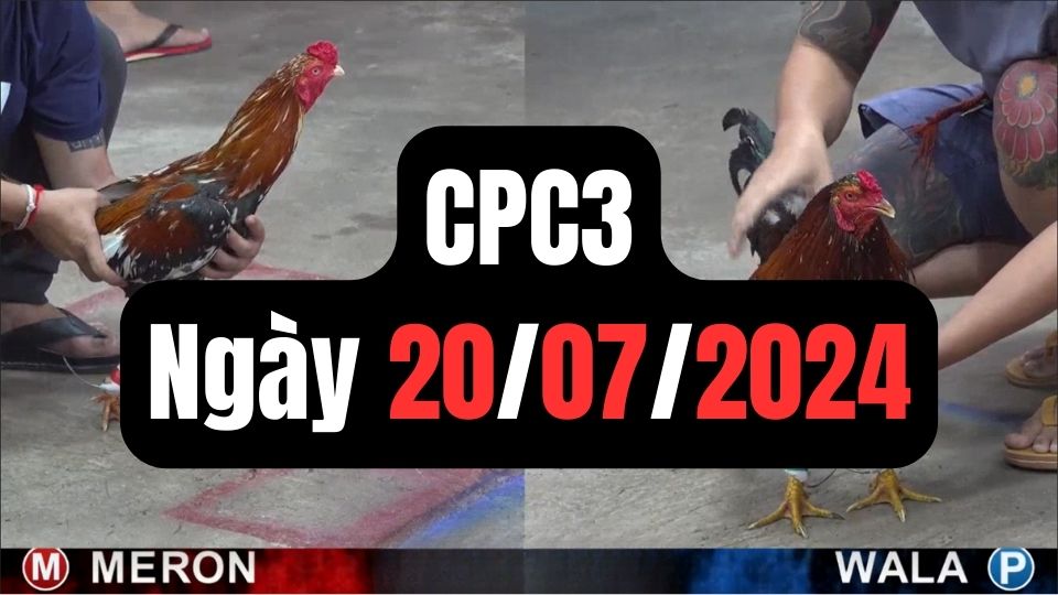 Tổng hợp đá gà CPC3 ngày 20/07/2024