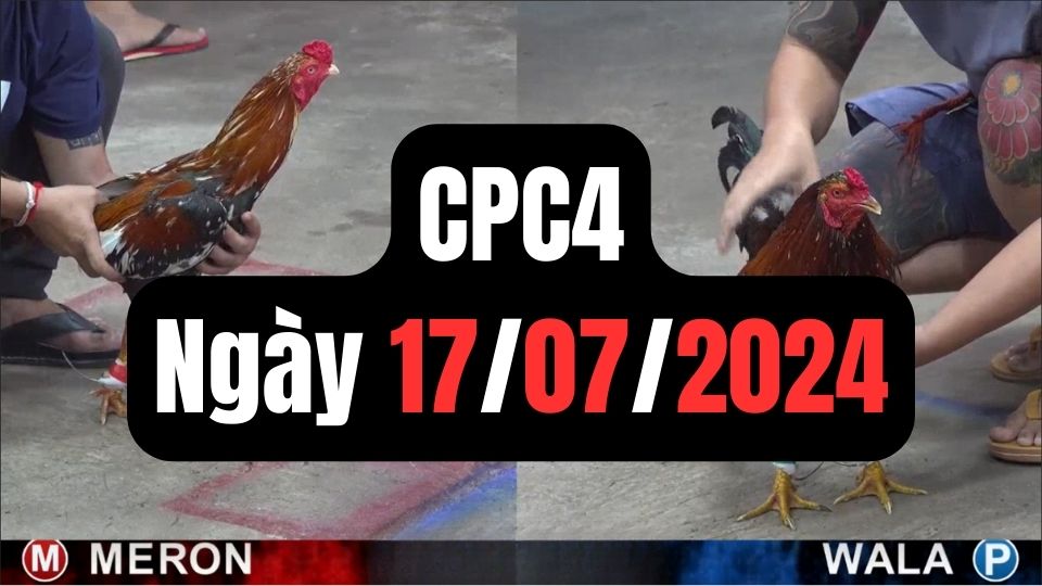 Tổng hợp đá gà CPC4 ngày 17/07/2024