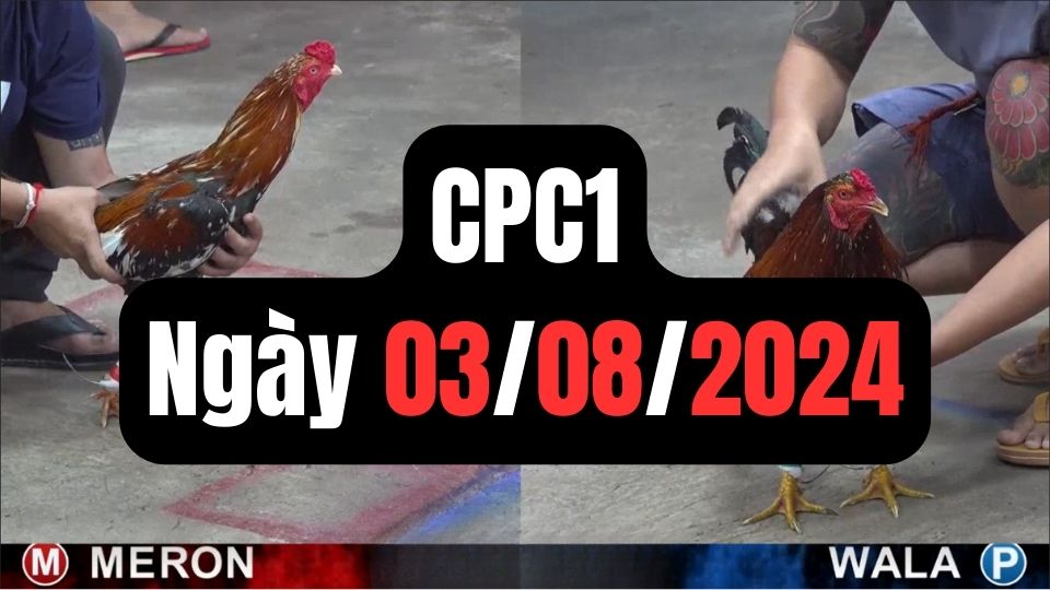 Tổng hợp đá gà CPC1 ngày 03/08/2024