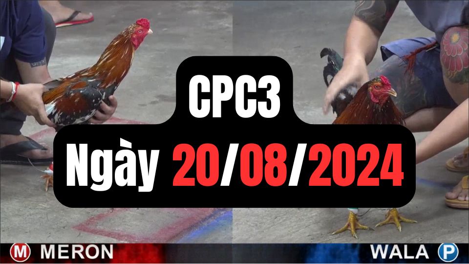 Tổng hợp đá gà CPC3 ngày 20/08/2024