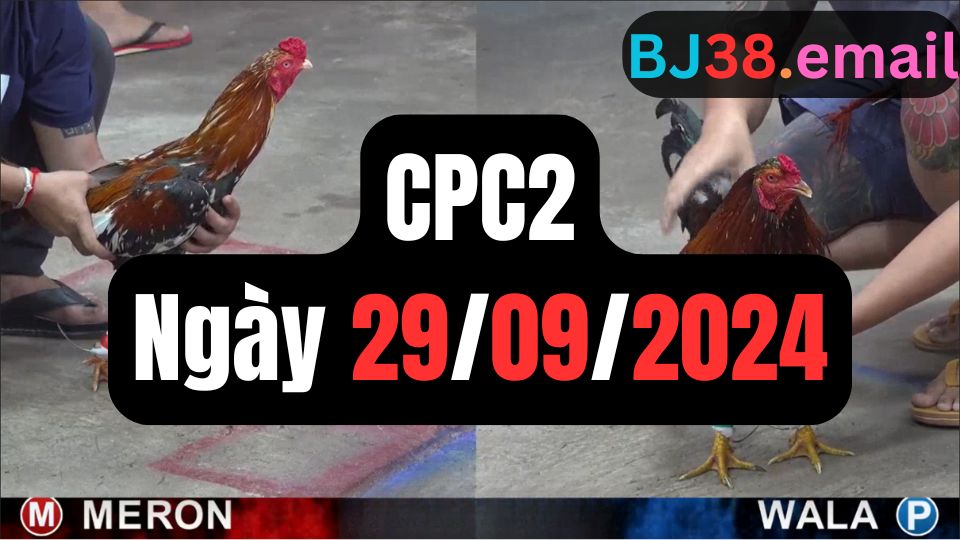 Tổng hợp đá gà CPC2 ngày 29/09/2024