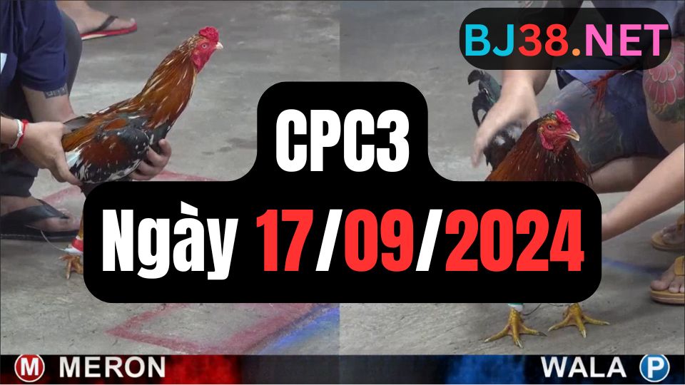 Tổng hợp đá gà CPC3 ngày 17/09/2024