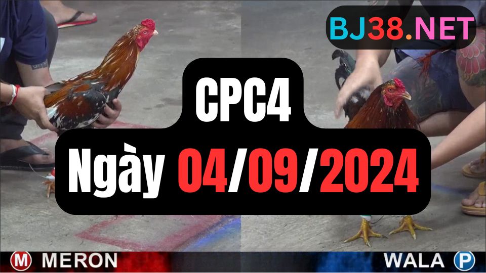 Tổng hợp đá gà CPC4 ngày 04/09/2024