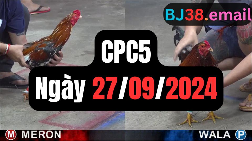 Tổng hợp đá gà CPC5 ngày 27/09/2024