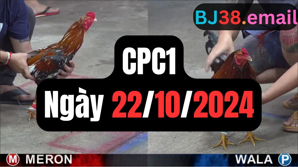 Tổng hợp đá gà CPC1 ngày 22/10/2024