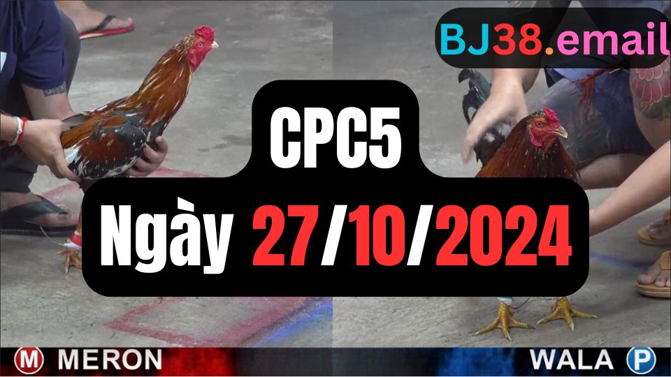 Tổng hợp đá gà CPC5 ngày 27/10/2024