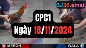 Tổng hợp đá gà CPC1 ngày 18/11/2024