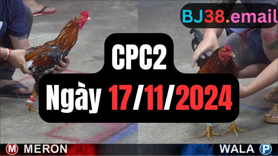 Tổng hợp đá gà CPC2 ngày 17/11/2024