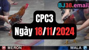 Tổng hợp đá gà CPC3 ngày 18/11/2024