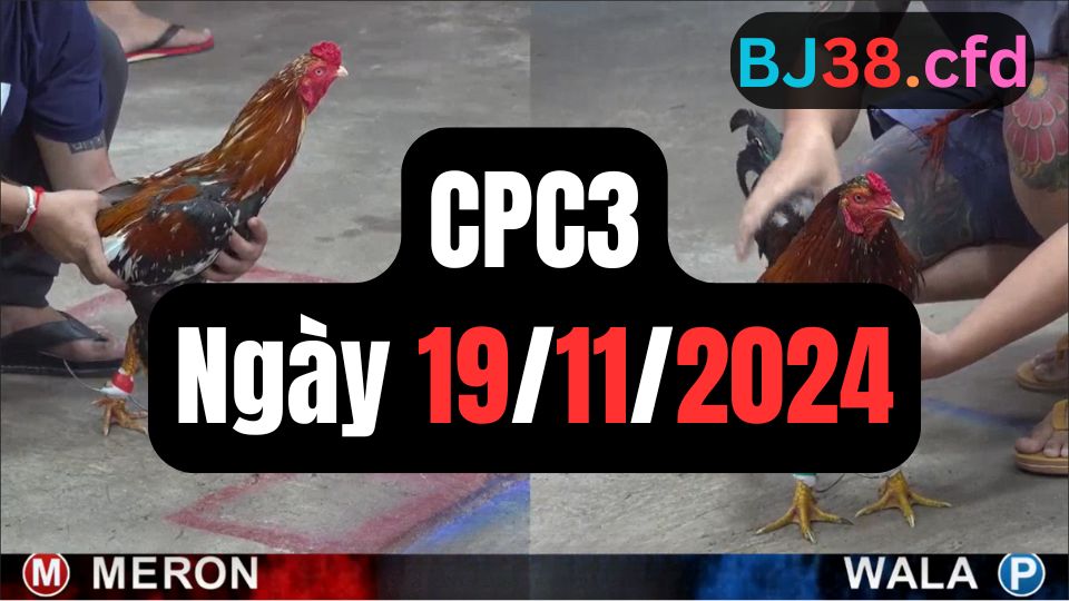 Tổng hợp đá gà CPC3 ngày 19/11/2024