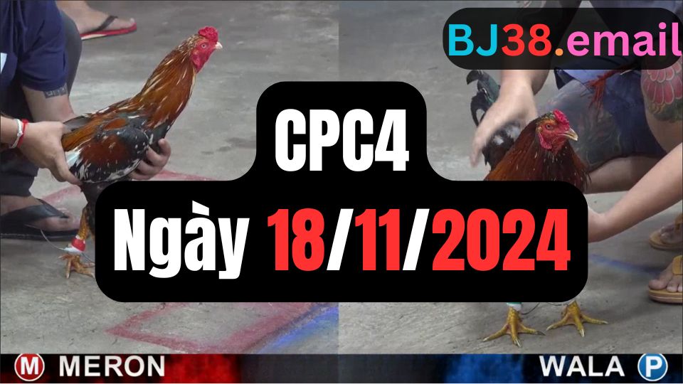 Tổng hợp đá gà CPC4 ngày 18/11/2024