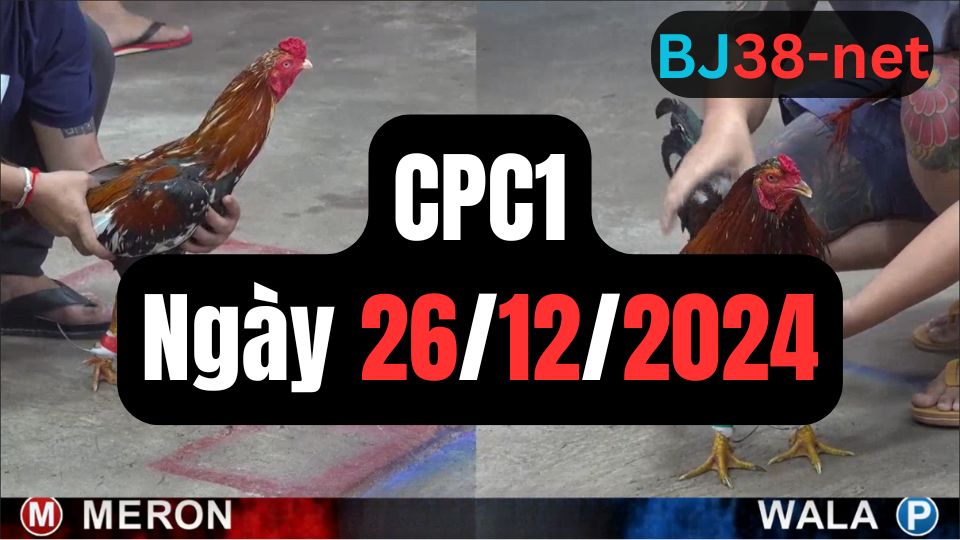 Tổng hợp đá gà CPC1 ngày 26/12/2024