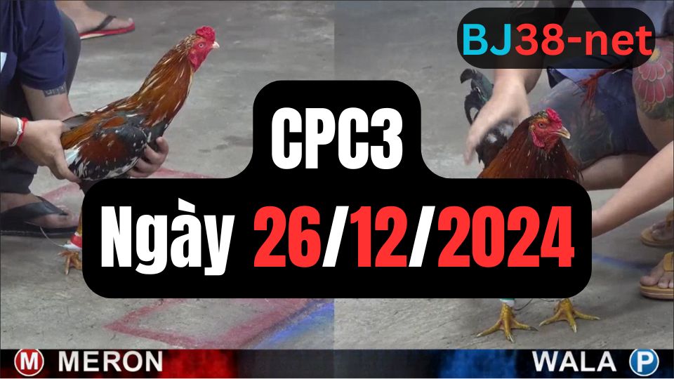 Tổng hợp đá gà CPC3 ngày 26/12/2024